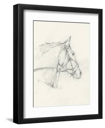 Bridled Horse Running Sketch I - Black Framed Art Print Wall Art, 9x12