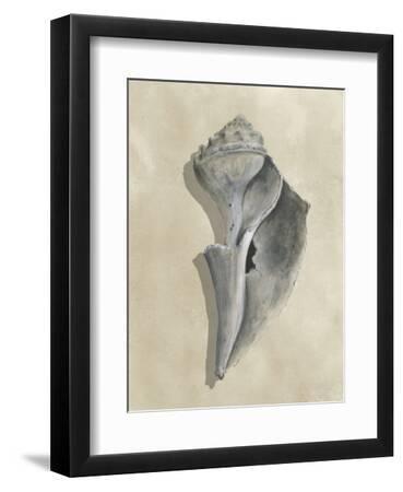 Broken Shells I - Black Framed Art Print Wall Art, 9x12
