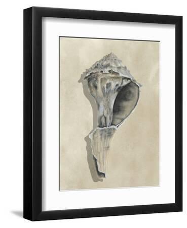 Broken Shells II - Black Framed Art Print Wall Art, 9x12