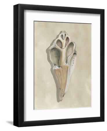Broken Shells III - Black Framed Art Print Wall Art, 9x12
