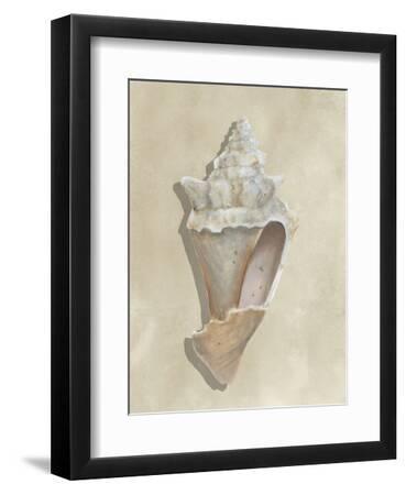 Broken Shells IV - Black Framed Art Print Wall Art, 9x12