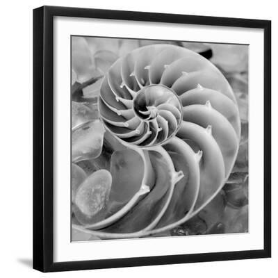 Crystal Cove #44 - Black Framed Art Print Wall Art, 16x16
