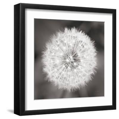 Dandelion Seedhead - Black Framed Art Print Wall Art, 12x12