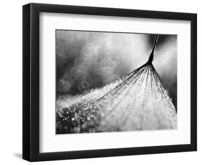 Debutante - Black Framed Art Print Wall Art, 12x9