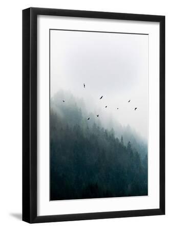 Foggy Morning 4 - Black Framed Art Print Wall Art, 12x18