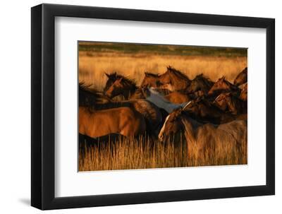 Golden Light - Black Framed Art Print Wall Art, 12x8 Golden Light - Black Framed Art Print Wall Art, 12x8