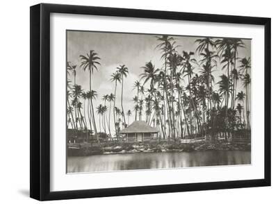 Hawaiian Shore - Black Framed Art Print Wall Art, 18x12
