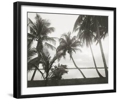 Lake Sunset - Black Framed Art Print Wall Art, 20x16 Lake Sunset - Black Framed Art Print Wall Art, 20x16