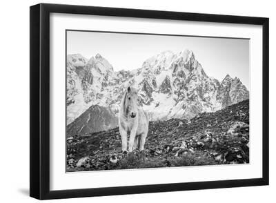 Majestic Mane - Vista - Black Framed Art Print Wall Art, 18x12 Majestic Mane - Vista - Black Framed Art Print Wall Art, 18x12