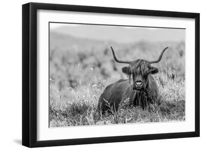 Meadow Guardian II - Black Framed Art Print Wall Art, 18x12