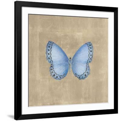 Papilio Luxe - Aeroides - Black Framed Art Print Wall Art, 30x30