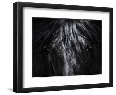 Portrait close up Spanish Purebred Horse with Long Mane. Black-And-White Photo. - Black Framed Art Print Wall Art, 12x9 Portrait close up Spanish Purebred Horse with Long Mane. Black-And-White Photo. - Black Framed Art Print Wall Art, 12x9