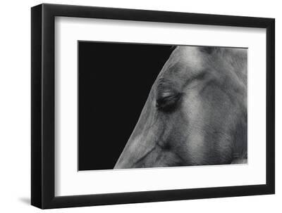 Rest - Black Framed Art Print Wall Art, 12x8