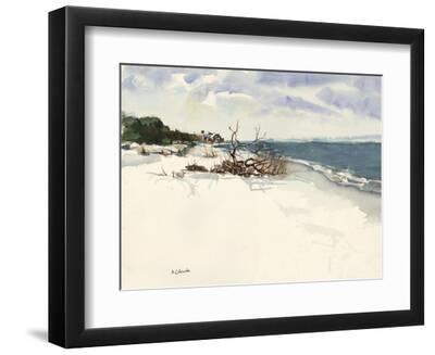 Rhode Island Driftwood II - Black Framed Art Print Wall Art, 12x9