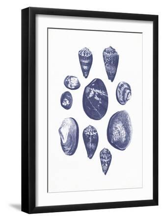 Seaside Treasures - Assort - Black Framed Art Print Wall Art, 12x18 Seaside Treasures - Assort - Black Framed Art Print Wall Art, 12x18