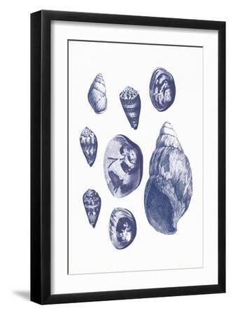 Seaside Treasures - Collect - Black Framed Art Print Wall Art, 12x18 Seaside Treasures - Collect - Black Framed Art Print Wall Art, 12x18