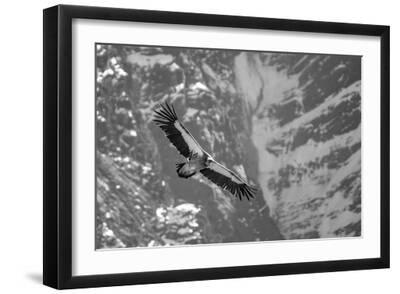 Skyward Ventures - Black Framed Art Print Wall Art, 18x12 Skyward Ventures - Black Framed Art Print Wall Art, 18x12