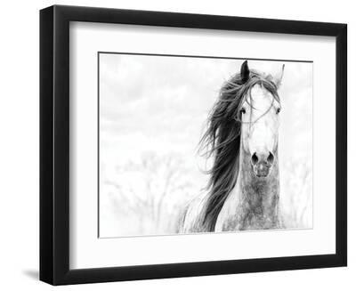 Spirit - Black Framed Art Print Wall Art, 12x9 Spirit - Black Framed Art Print Wall Art, 12x9
