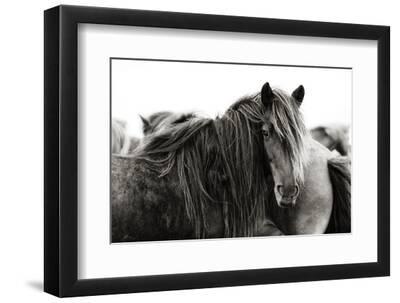 Stand Alone - Black Framed Art Print Wall Art, 12x8 Stand Alone - Black Framed Art Print Wall Art, 12x8