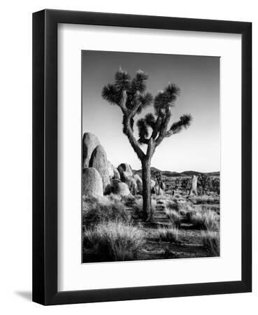 USA, California, Joshua Tree National Park at Hidden Valley - Black Framed Art Print Wall Art, 9x12