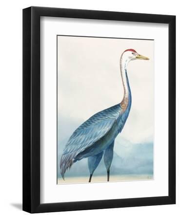 Winged Calm I - Black Framed Art Print Wall Art, 9x12 Winged Calm I - Black Framed Art Print Wall Art, 9x12