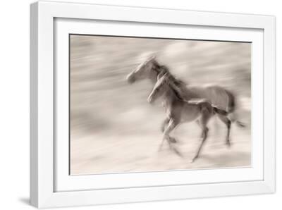 Mischievous Spirit - White Framed Art Print Wall Art, 18x12