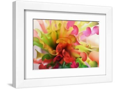 Party Time - White Framed Art Print Wall Art, 12x8